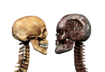 8 cviků na uvolnění a posílení krční páteře 8 cviků na uvolnění a posílení krční páteře