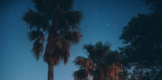 Rady filmových hvězd: Jak se dostat do formy? Rady filmových hvězd: Jak se dostat do formy?