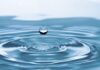 Potraviny s vysokým obsahem vody: Jak podpořit hydrataci v horkém počasí Potraviny s vysokým obsahem vody: Jak podpořit hydrataci v horkém počasí