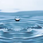 Potraviny s vysokým obsahem vody: Jak podpořit hydrataci v horkém počasí Potraviny s vysokým obsahem vody: Jak podpořit hydrataci v horkém počasí