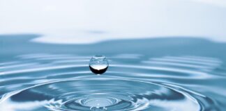 Potraviny s vysokým obsahem vody: Jak podpořit hydrataci v horkém počasí