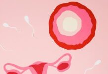 6 odhalených mýtů o hormonální antikoncepci: Neplodnost a přibírání na váze skutečné? 6 odhalených mýtů o hormonální antikoncepci: Neplodnost a přibírání na váze skutečné?