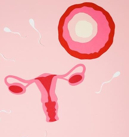 6 odhalených mýtů o hormonální antikoncepci: Neplodnost a přibírání na váze skutečné? 6 odhalených mýtů o hormonální antikoncepci: Neplodnost a přibírání na váze skutečné?