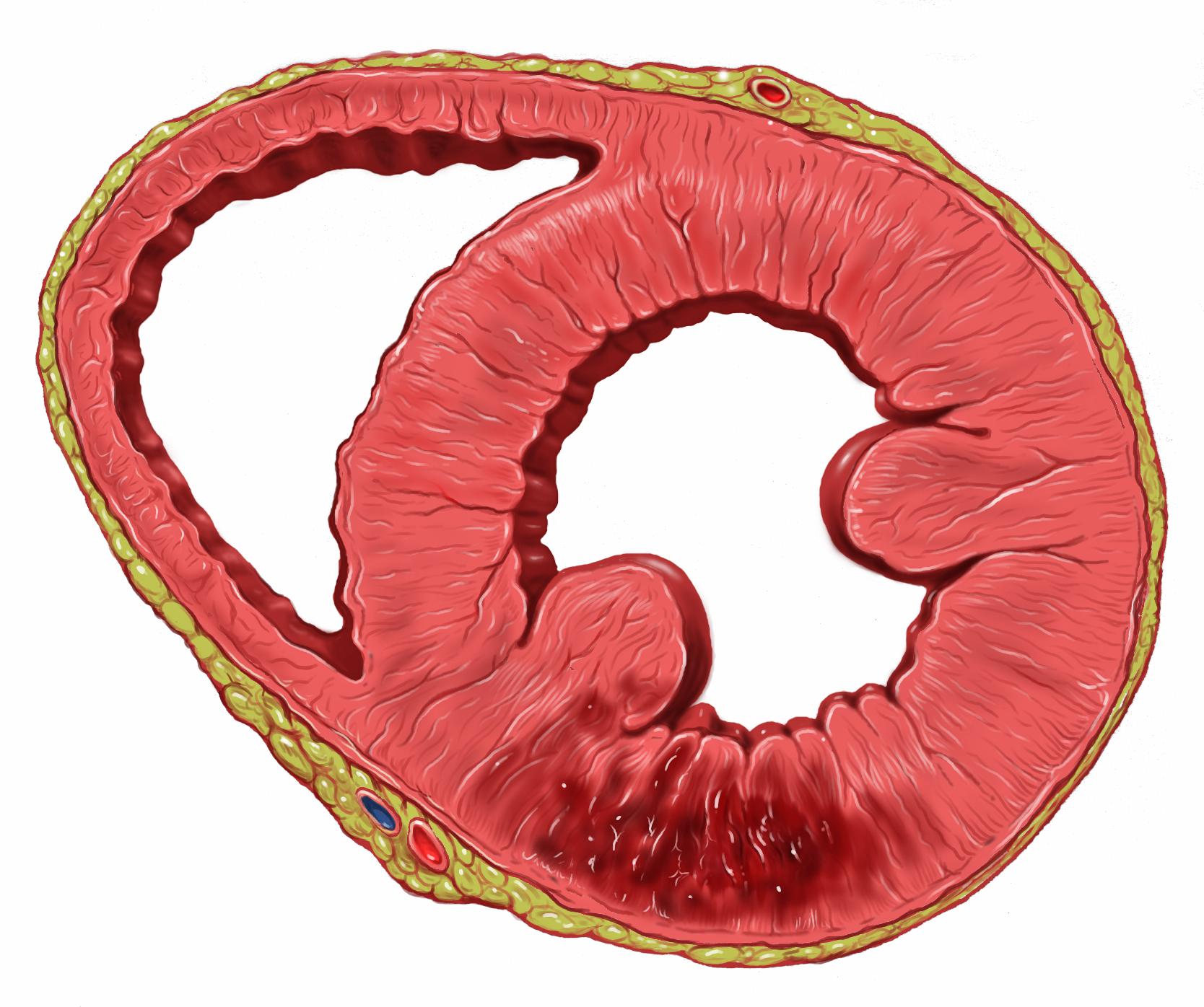 8. Odhalte tajemství vnitřního zdraví: S pomocí biomarkerů a testování moči