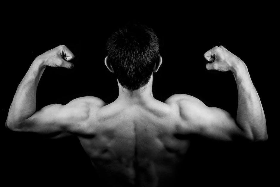 1. Odhalujeme tajemství vytvoření úplně dokonalých bicepsů: Kompletní tréninkový plán pro dosažení cíle