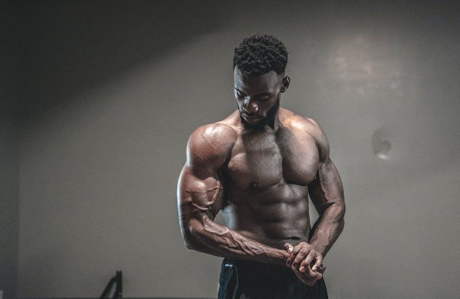 2. Biceps jako symbolem síly a sebevědomí: Přehled nejlepších cviků pro efektivní růst svalů