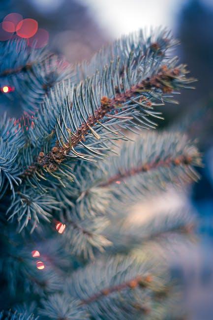 13. Kouzlo naturálního objemu: Proč⁣ je ‍důležité se cítit pohodlně vlastní pokožkou