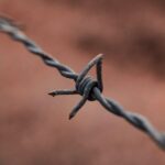 Podpora trávení přírodní cestou: Jak optimalizovat fungování vašeho trávicího systému? Podpora trávení přírodní cestou: Jak optimalizovat fungování vašeho trávicího systému?
