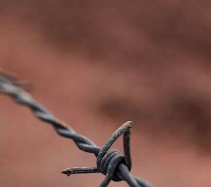 Podpora trávení přírodní cestou: Jak optimalizovat fungování vašeho trávicího systému? Podpora trávení přírodní cestou: Jak optimalizovat fungování vašeho trávicího systému?