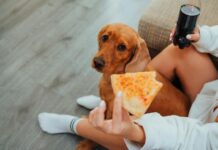 Stravování před spaním: Nejlepší čas na poslední jídlo a jaký vliv má na váš spánek? Stravování před spaním: Nejlepší čas na poslední jídlo a jaký vliv má na váš spánek?