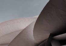 Spálení kalorií při trase 10 km: Chůze, běh, kolo nebo inlajny? Spálení kalorií při trase 10 km: Chůze, běh, kolo nebo inlajny?