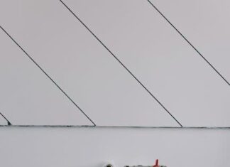 10 tipů na proteinové snídaně: Jak začít den s energií a silou? 10 tipů na proteinové snídaně: Jak začít den s energií a silou?