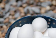 Zdravá velikonoční nadílka: Ověřené tipy s důrazem na vajíčka Zdravá velikonoční nadílka: Ověřené tipy s důrazem na vajíčka