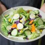 Low fat, low carb, nebo paleo? Jaká dieta je pro vás ta pravá? Low fat, low carb, nebo paleo? Jaká dieta je pro vás ta pravá?