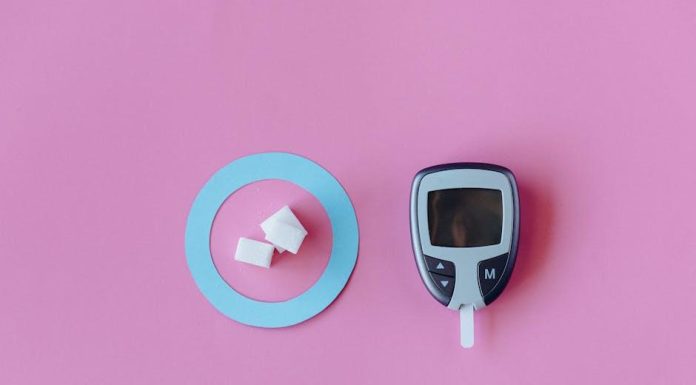 Metabolismus a Jídlo: Zrychlí Více Jídel za Den Metabolismus? Metabolismus a Jídlo: Zrychlí Více Jídel za Den Metabolismus?