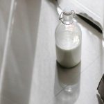 Bez laktózy: Jak vybrat ideální proteinový přípravek? Bez laktózy: Jak vybrat ideální proteinový přípravek?