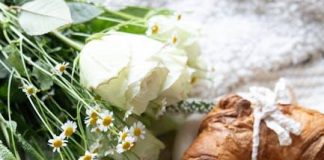 Souboj Snídaní: Syrovátkové Bílkoviny pro Rychlejší Hubnutí a Kontrolu Cukrovky Souboj Snídaní: Syrovátkové Bílkoviny pro Rychlejší Hubnutí a Kontrolu Cukrovky