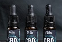 KARNITIN a jeho role při spalování tuku KARNITIN a jeho role při spalování tuku