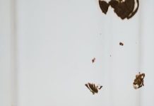 Mléko ve Fitness Výživě: Ano či Ne? Mléko ve Fitness Výživě: Ano či Ne?