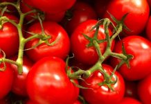 The Game Changers: Veganství jako klíč k zdraví a špičkovému sportovnímu výkonu? The Game Changers: Veganství jako klíč k zdraví a špičkovému sportovnímu výkonu?