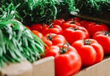 Krabičková dieta pro efektivní meal prep pro muže i ženy Krabičková dieta pro efektivní meal prep pro muže i ženy
