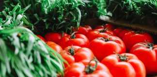 Krabičková dieta pro efektivní meal prep pro muže i ženy