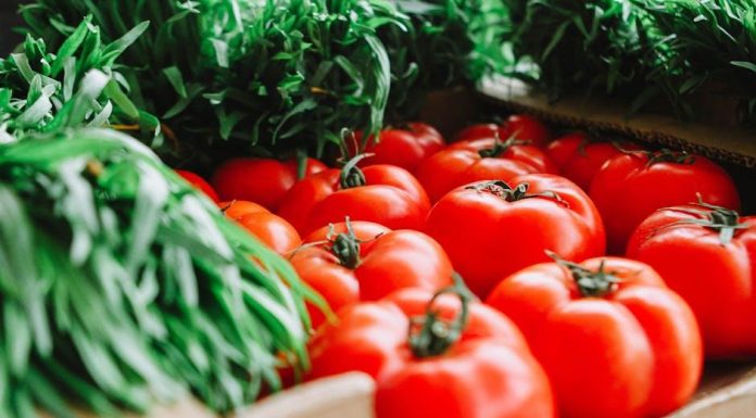Krabičková dieta pro efektivní meal prep pro muže i ženy Krabičková dieta pro efektivní meal prep pro muže i ženy