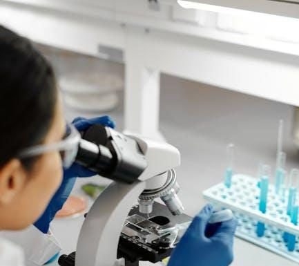 Broscience v češtině – Pohled Filipa Grznára Broscience v češtině – Pohled Filipa Grznára