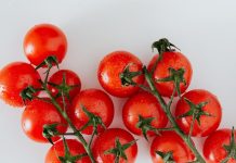 Melatonin: Hormon Spánku a Jeho Další Pozitivní Účinky Melatonin: Hormon Spánku a Jeho Další Pozitivní Účinky