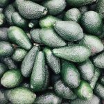6 Nejlepších Zdrojů Tuku pro Fitness Výživu 6 Nejlepších Zdrojů Tuku pro Fitness Výživu
