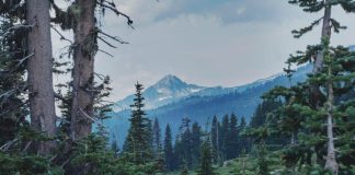 Kontroverze Okolo Mr. Olympia: Za Kulisy Nejprestižnější Kulturistické Soutěže Kontroverze Okolo Mr. Olympia: Za Kulisy Nejprestižnější Kulturistické Soutěže