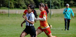 Proč zvolit kvalitní trénink s nakopávačem? 5 důvodů a jak vybrat ten nejlepší Proč zvolit kvalitní trénink s nakopávačem? 5 důvodů a jak vybrat ten nejlepší