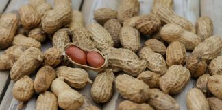 Arašídové Máslo v Trojím Podání: Kreativní Recepty pro Fitness Gurmány Arašídové Máslo v Trojím Podání: Kreativní Recepty pro Fitness Gurmány