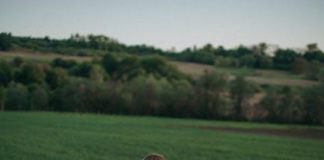 Mindful běh pro spokojenost a rychlost: Poznejte jeho kouzlo Mindful běh pro spokojenost a rychlost: Poznejte jeho kouzlo