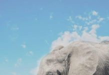 Venkovní Sporty v Aktuálních Podmínkách: Co Zvolit? Venkovní Sporty v Aktuálních Podmínkách: Co Zvolit?