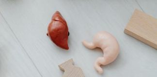 Ledviny, Kreatin a Fyzická Aktivita: Jak Ovlivňují Krevní Testy Ledviny, Kreatin a Fyzická Aktivita: Jak Ovlivňují Krevní Testy