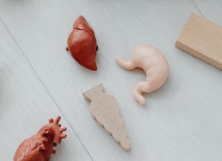 Ledviny, Kreatin a Fyzická Aktivita: Jak Ovlivňují Krevní Testy Ledviny, Kreatin a Fyzická Aktivita: Jak Ovlivňují Krevní Testy