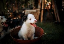 Eva Dlabajová: Není to jen o fitness, ale o odkazu, který zanecháme Eva Dlabajová: Není to jen o fitness, ale o odkazu, který zanecháme