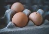 Množství Proteinu po Běhu nebo Jízdě na Kole: Jak Správně Dávkovat Množství Proteinu po Běhu nebo Jízdě na Kole: Jak Správně Dávkovat