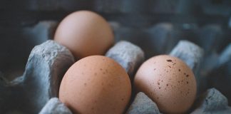 Množství Proteinu po Běhu nebo Jízdě na Kole: Jak Správně Dávkovat