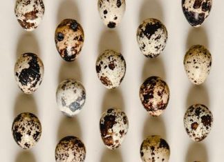 Bílkoviny: Kolik je příliš? Průvodce správným množstvím Bílkoviny: Kolik je příliš? Průvodce správným množstvím