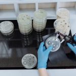 Antibiotická rezistence: Když bakterie odolávají lékům Antibiotická rezistence: Když bakterie odolávají lékům