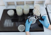 Antibiotická rezistence: Když bakterie odolávají lékům Antibiotická rezistence: Když bakterie odolávají lékům
