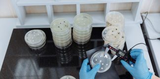 Antibiotická rezistence: Když bakterie odolávají lékům Antibiotická rezistence: Když bakterie odolávají lékům