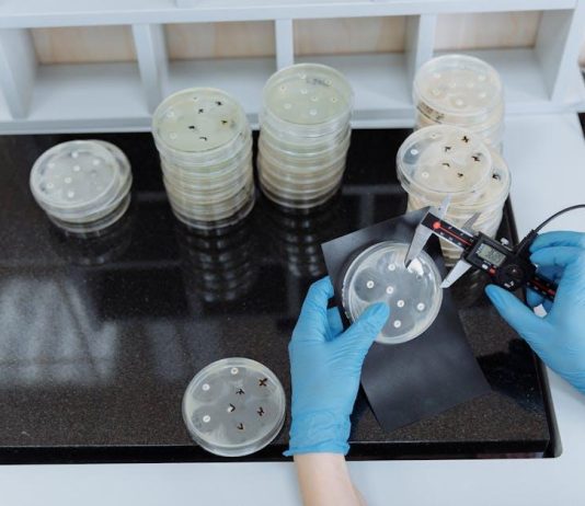 Antibiotická rezistence: Když bakterie odolávají lékům Antibiotická rezistence: Když bakterie odolávají lékům