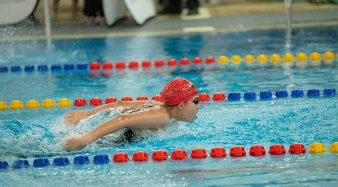 Optimalizace sportovní výkonnosti: Jak si udržet stabilitu při kolísání formy? Optimalizace sportovní výkonnosti: Jak si udržet stabilitu při kolísání formy?