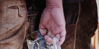 Má pivo skutečně vliv na tvar těla? Odpověď těla sportovce na konzumaci alkoholu Má pivo skutečně vliv na tvar těla? Odpověď těla sportovce na konzumaci alkoholu