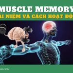 Deload: Odpocívejte od Těžkých Vah a Těšte se z Přínosů Deload: Odpocívejte od Těžkých Vah a Těšte se z Přínosů