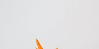 Beta-alanin: Suplement Budoucnosti nebo Přechodný Trend? Beta-alanin: Suplement Budoucnosti nebo Přechodný Trend?