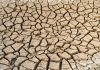 10 Jednoduchých Způsobů, Jak Být Šetrnější k Naší Planetě 10 Jednoduchých Způsobů, Jak Být Šetrnější k Naší Planetě